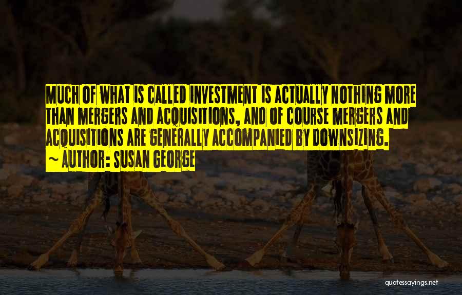 Susan George Quotes: Much Of What Is Called Investment Is Actually Nothing More Than Mergers And Acquisitions, And Of Course Mergers And Acquisitions