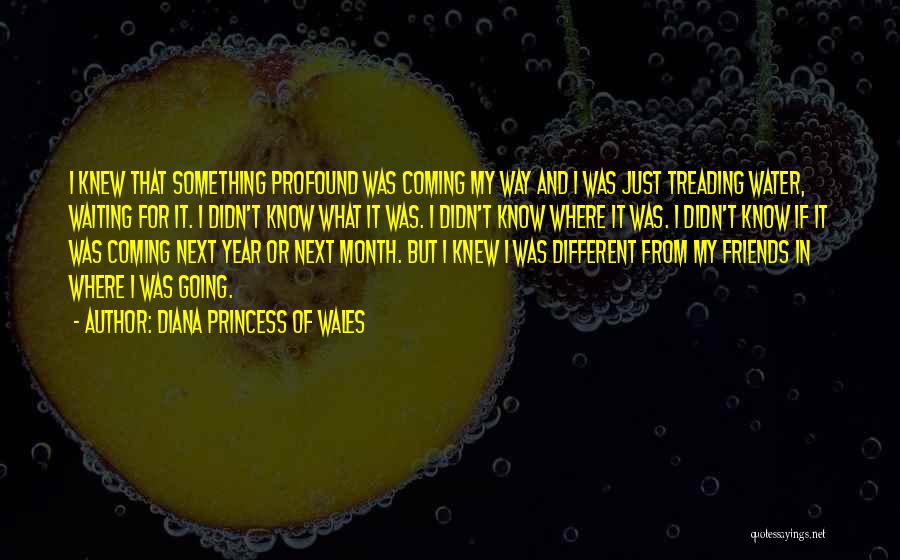 Diana Princess Of Wales Quotes: I Knew That Something Profound Was Coming My Way And I Was Just Treading Water, Waiting For It. I Didn't