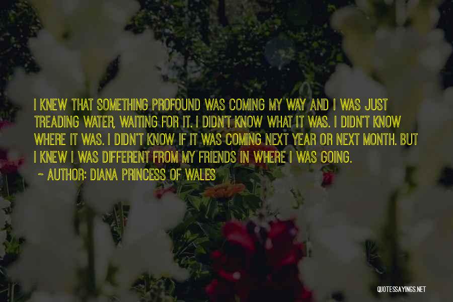 Diana Princess Of Wales Quotes: I Knew That Something Profound Was Coming My Way And I Was Just Treading Water, Waiting For It. I Didn't