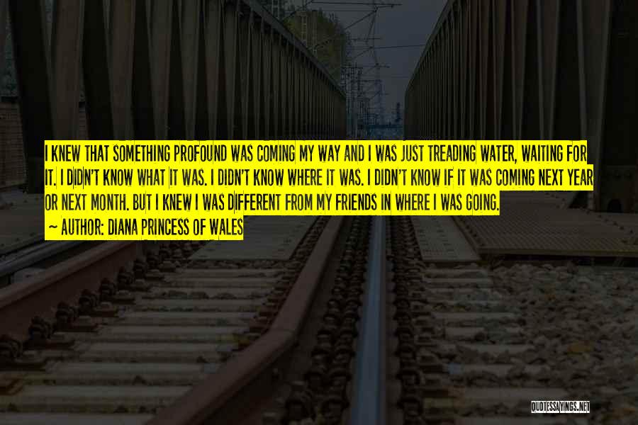 Diana Princess Of Wales Quotes: I Knew That Something Profound Was Coming My Way And I Was Just Treading Water, Waiting For It. I Didn't