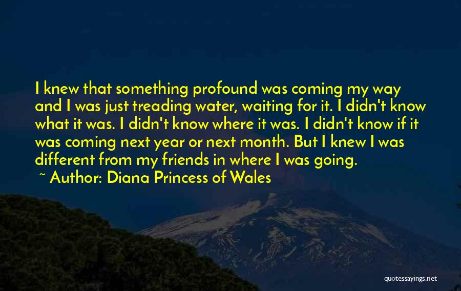 Diana Princess Of Wales Quotes: I Knew That Something Profound Was Coming My Way And I Was Just Treading Water, Waiting For It. I Didn't