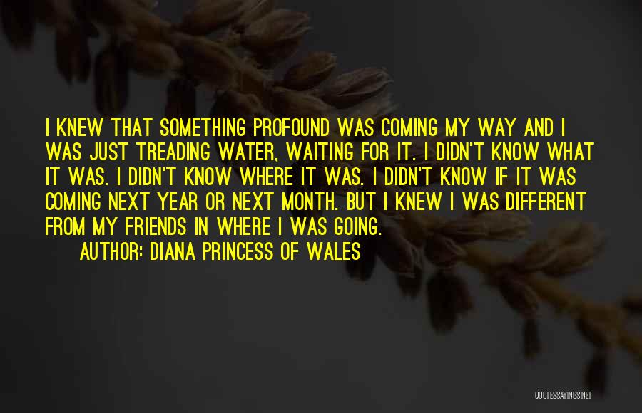 Diana Princess Of Wales Quotes: I Knew That Something Profound Was Coming My Way And I Was Just Treading Water, Waiting For It. I Didn't