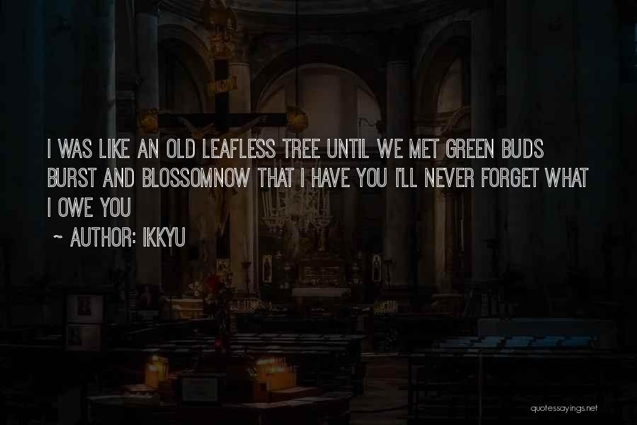 Ikkyu Quotes: I Was Like An Old Leafless Tree Until We Met Green Buds Burst And Blossomnow That I Have You I'll