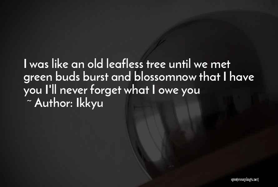 Ikkyu Quotes: I Was Like An Old Leafless Tree Until We Met Green Buds Burst And Blossomnow That I Have You I'll