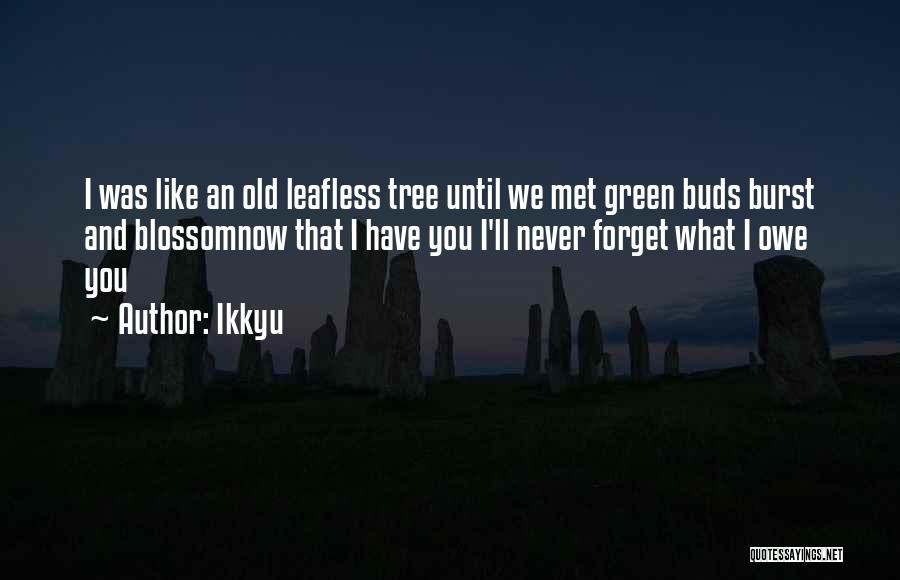 Ikkyu Quotes: I Was Like An Old Leafless Tree Until We Met Green Buds Burst And Blossomnow That I Have You I'll