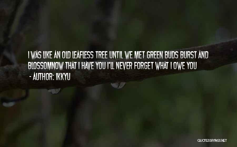 Ikkyu Quotes: I Was Like An Old Leafless Tree Until We Met Green Buds Burst And Blossomnow That I Have You I'll