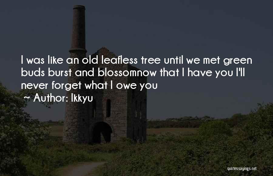 Ikkyu Quotes: I Was Like An Old Leafless Tree Until We Met Green Buds Burst And Blossomnow That I Have You I'll