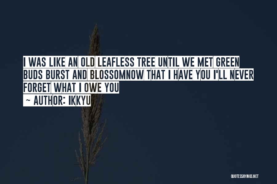 Ikkyu Quotes: I Was Like An Old Leafless Tree Until We Met Green Buds Burst And Blossomnow That I Have You I'll