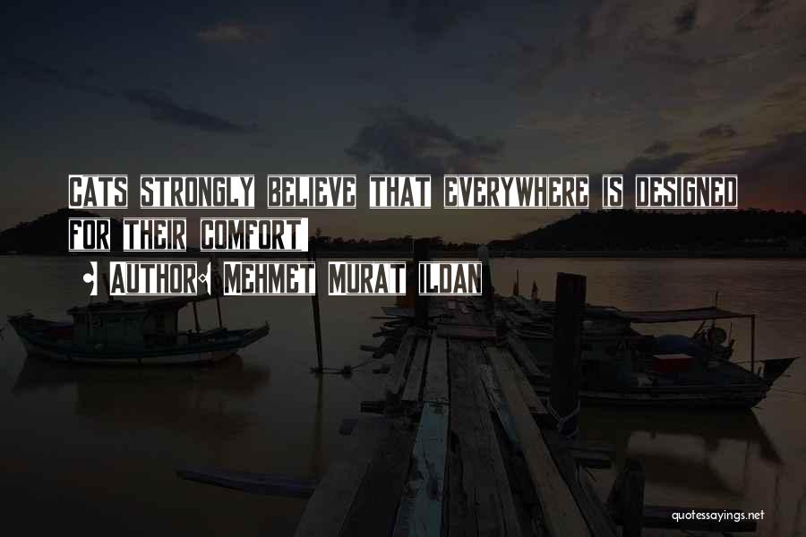 Mehmet Murat Ildan Quotes: Cats Strongly Believe That Everywhere Is Designed For Their Comfort!