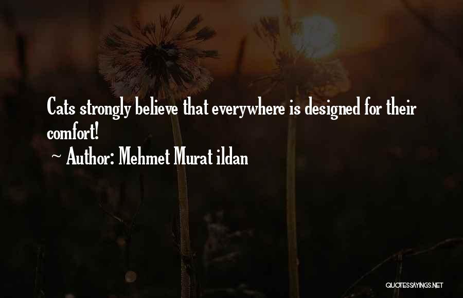 Mehmet Murat Ildan Quotes: Cats Strongly Believe That Everywhere Is Designed For Their Comfort!