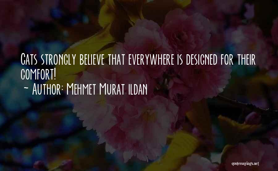 Mehmet Murat Ildan Quotes: Cats Strongly Believe That Everywhere Is Designed For Their Comfort!