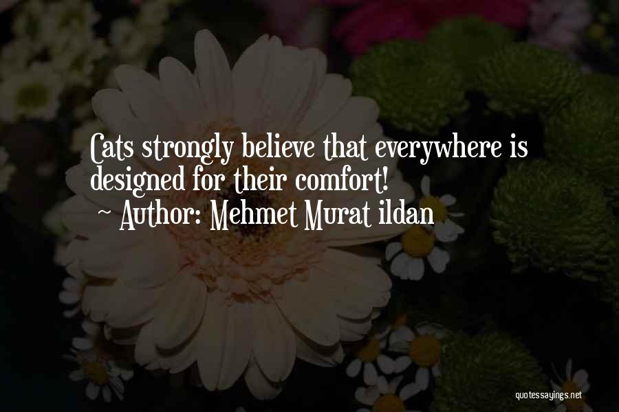 Mehmet Murat Ildan Quotes: Cats Strongly Believe That Everywhere Is Designed For Their Comfort!