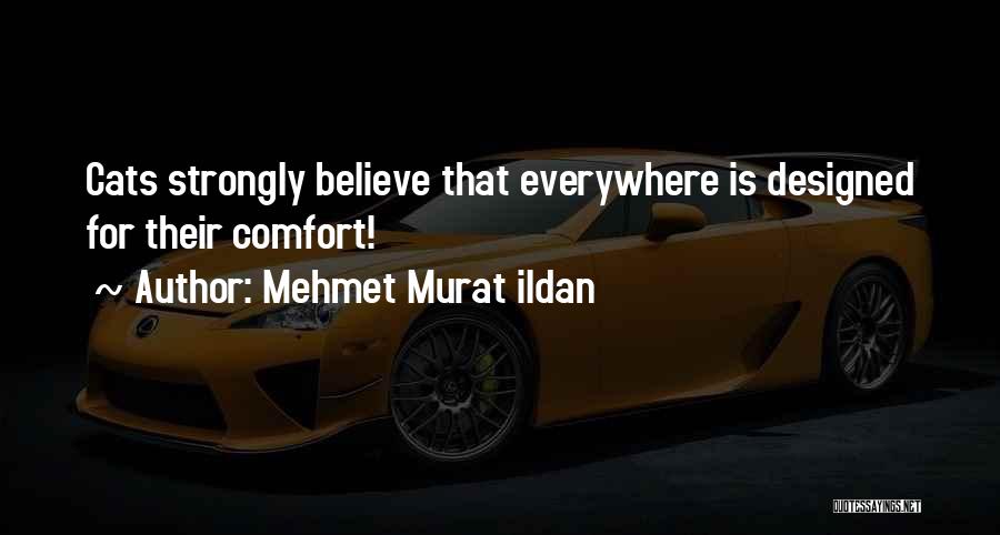 Mehmet Murat Ildan Quotes: Cats Strongly Believe That Everywhere Is Designed For Their Comfort!