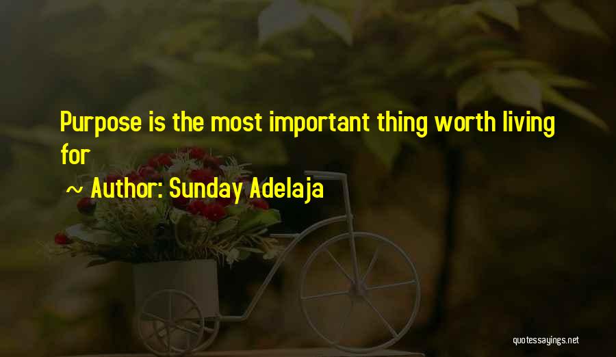 Sunday Adelaja Quotes: Purpose Is The Most Important Thing Worth Living For