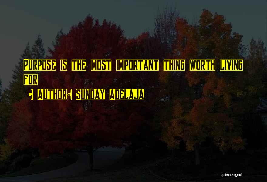 Sunday Adelaja Quotes: Purpose Is The Most Important Thing Worth Living For