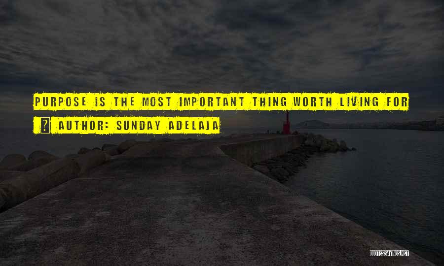 Sunday Adelaja Quotes: Purpose Is The Most Important Thing Worth Living For