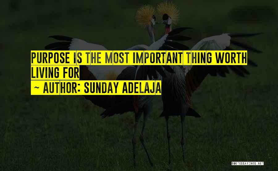 Sunday Adelaja Quotes: Purpose Is The Most Important Thing Worth Living For