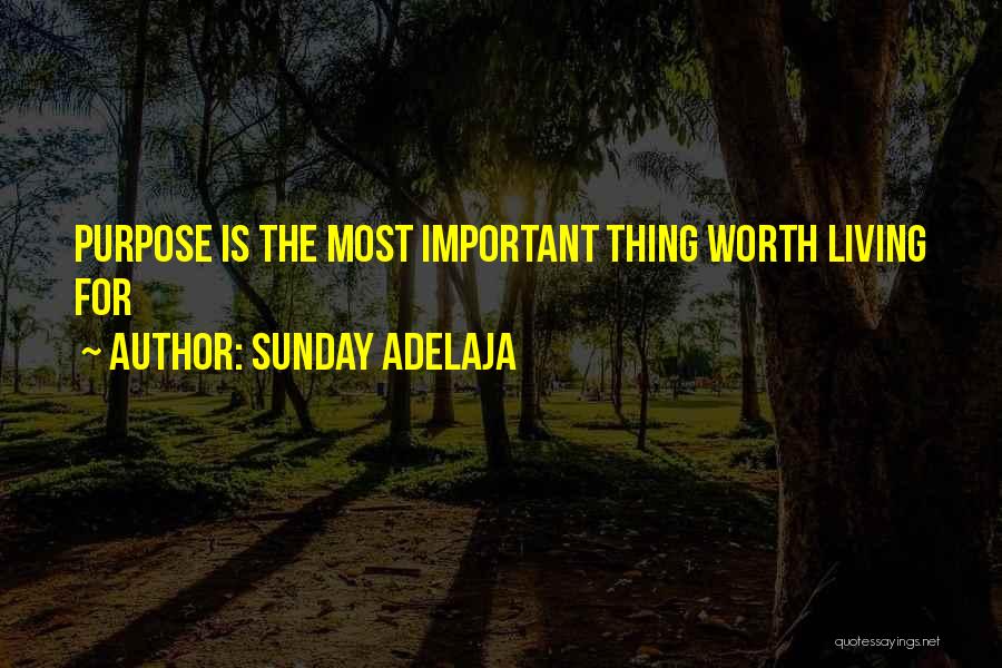 Sunday Adelaja Quotes: Purpose Is The Most Important Thing Worth Living For