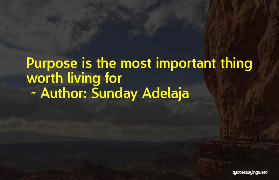 Sunday Adelaja Quotes: Purpose Is The Most Important Thing Worth Living For