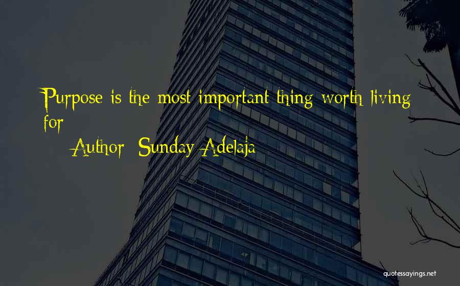 Sunday Adelaja Quotes: Purpose Is The Most Important Thing Worth Living For