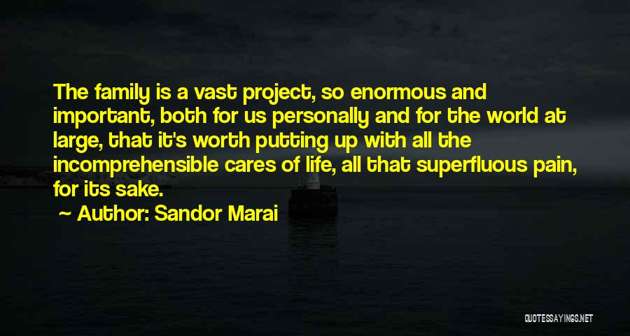 Sandor Marai Quotes: The Family Is A Vast Project, So Enormous And Important, Both For Us Personally And For The World At Large,