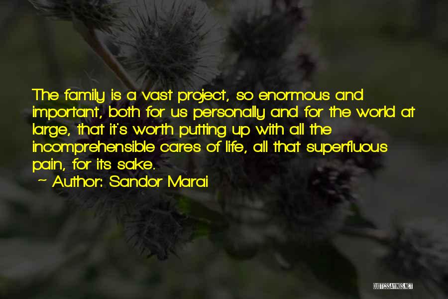 Sandor Marai Quotes: The Family Is A Vast Project, So Enormous And Important, Both For Us Personally And For The World At Large,
