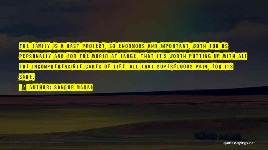 Sandor Marai Quotes: The Family Is A Vast Project, So Enormous And Important, Both For Us Personally And For The World At Large,