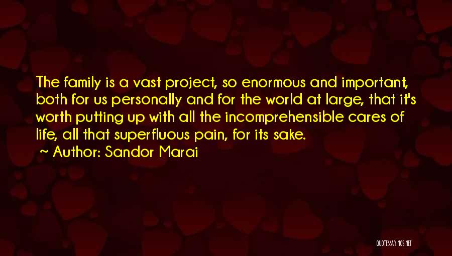 Sandor Marai Quotes: The Family Is A Vast Project, So Enormous And Important, Both For Us Personally And For The World At Large,