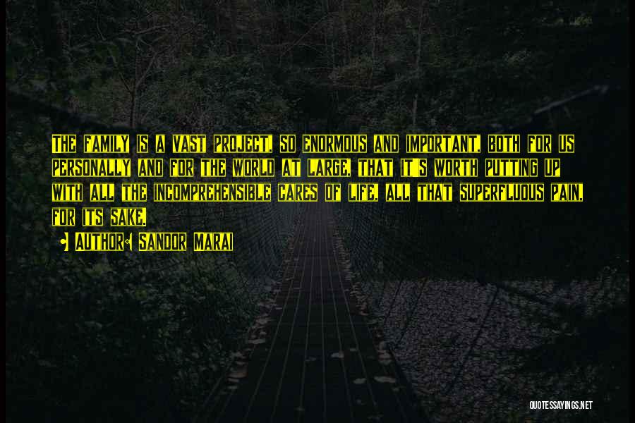 Sandor Marai Quotes: The Family Is A Vast Project, So Enormous And Important, Both For Us Personally And For The World At Large,