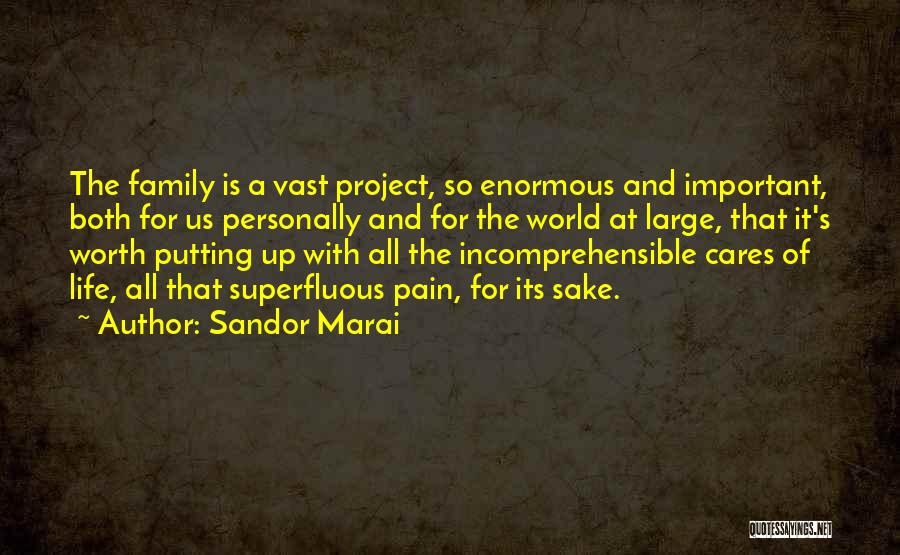 Sandor Marai Quotes: The Family Is A Vast Project, So Enormous And Important, Both For Us Personally And For The World At Large,