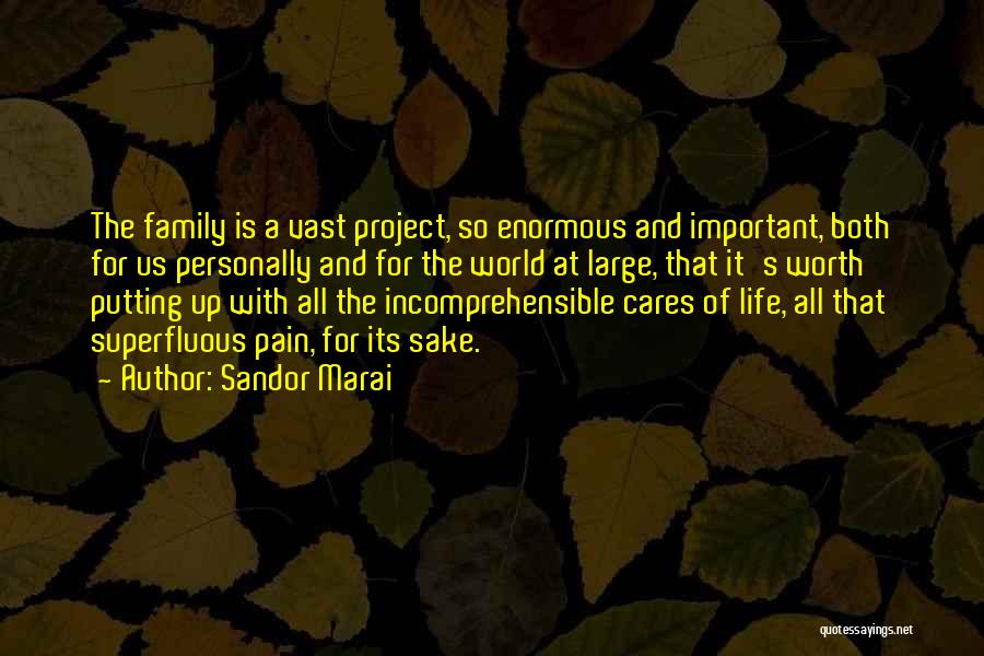 Sandor Marai Quotes: The Family Is A Vast Project, So Enormous And Important, Both For Us Personally And For The World At Large,