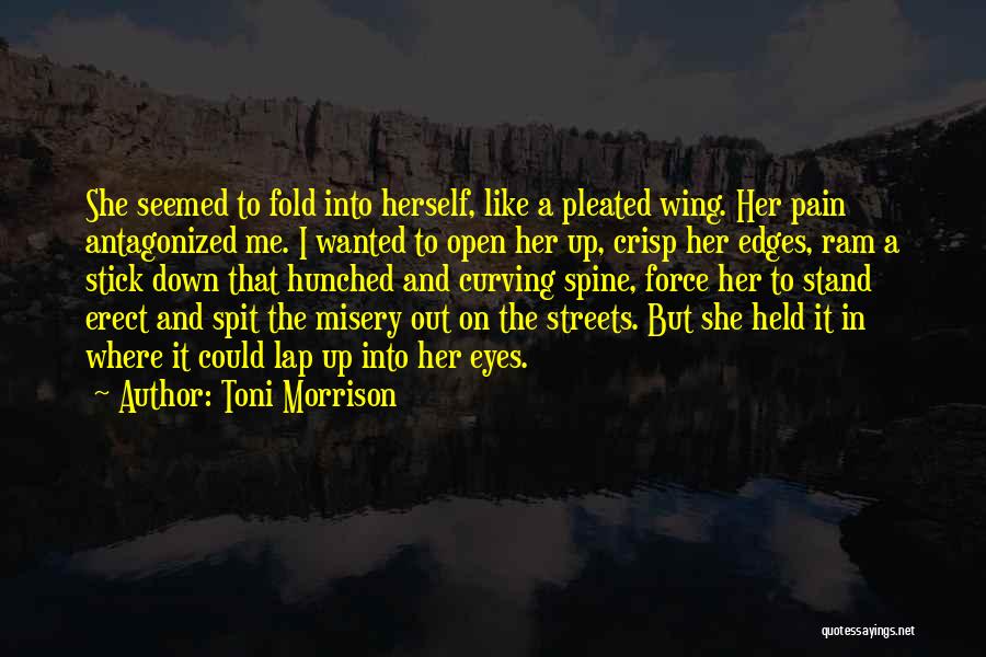 Toni Morrison Quotes: She Seemed To Fold Into Herself, Like A Pleated Wing. Her Pain Antagonized Me. I Wanted To Open Her Up,