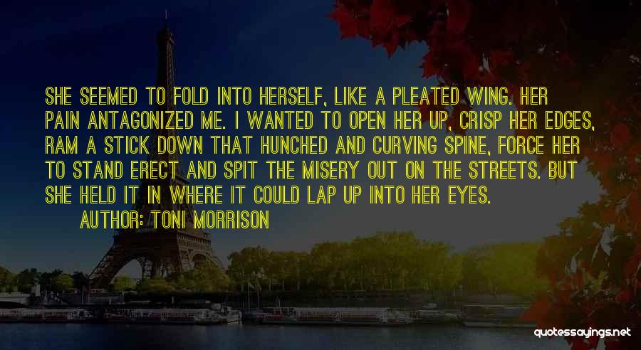 Toni Morrison Quotes: She Seemed To Fold Into Herself, Like A Pleated Wing. Her Pain Antagonized Me. I Wanted To Open Her Up,