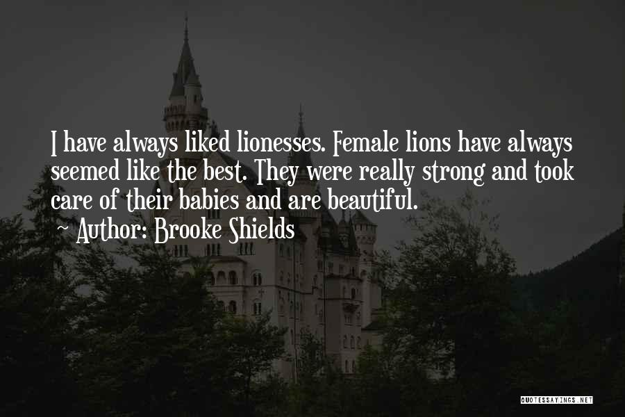 Brooke Shields Quotes: I Have Always Liked Lionesses. Female Lions Have Always Seemed Like The Best. They Were Really Strong And Took Care
