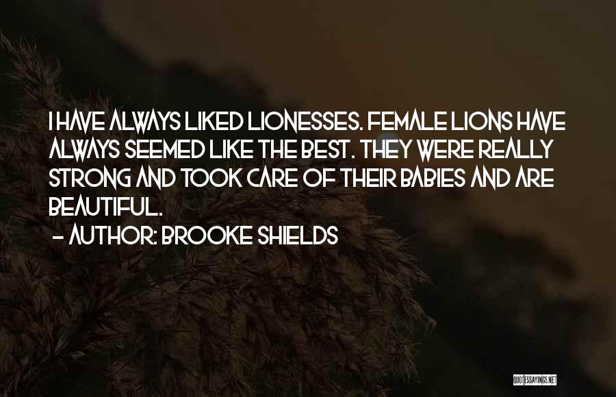 Brooke Shields Quotes: I Have Always Liked Lionesses. Female Lions Have Always Seemed Like The Best. They Were Really Strong And Took Care