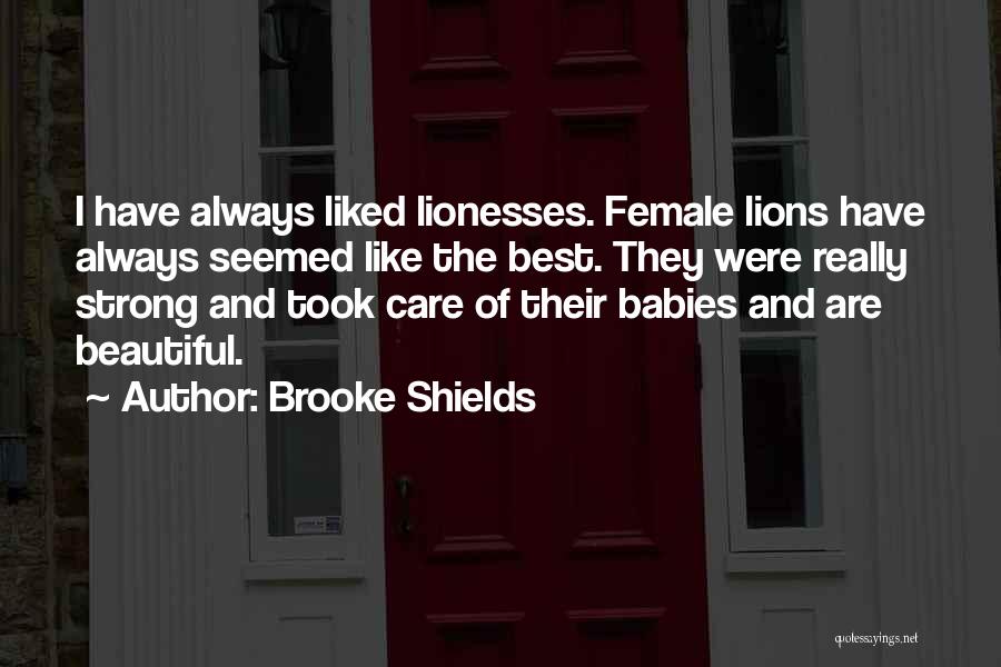 Brooke Shields Quotes: I Have Always Liked Lionesses. Female Lions Have Always Seemed Like The Best. They Were Really Strong And Took Care