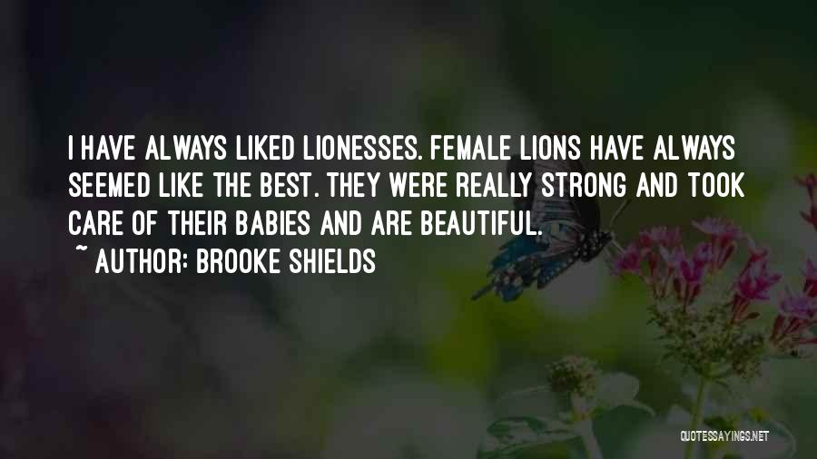 Brooke Shields Quotes: I Have Always Liked Lionesses. Female Lions Have Always Seemed Like The Best. They Were Really Strong And Took Care
