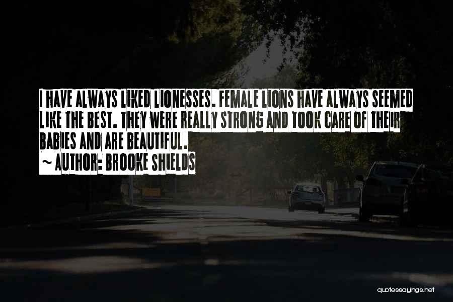 Brooke Shields Quotes: I Have Always Liked Lionesses. Female Lions Have Always Seemed Like The Best. They Were Really Strong And Took Care