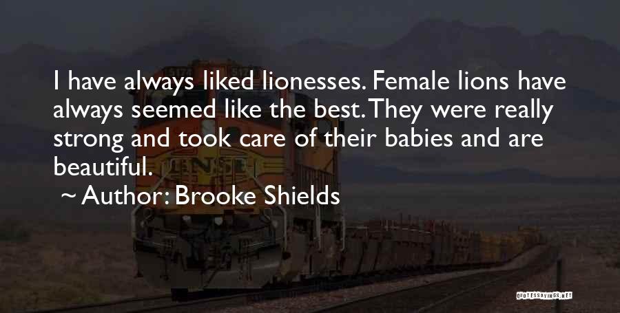 Brooke Shields Quotes: I Have Always Liked Lionesses. Female Lions Have Always Seemed Like The Best. They Were Really Strong And Took Care