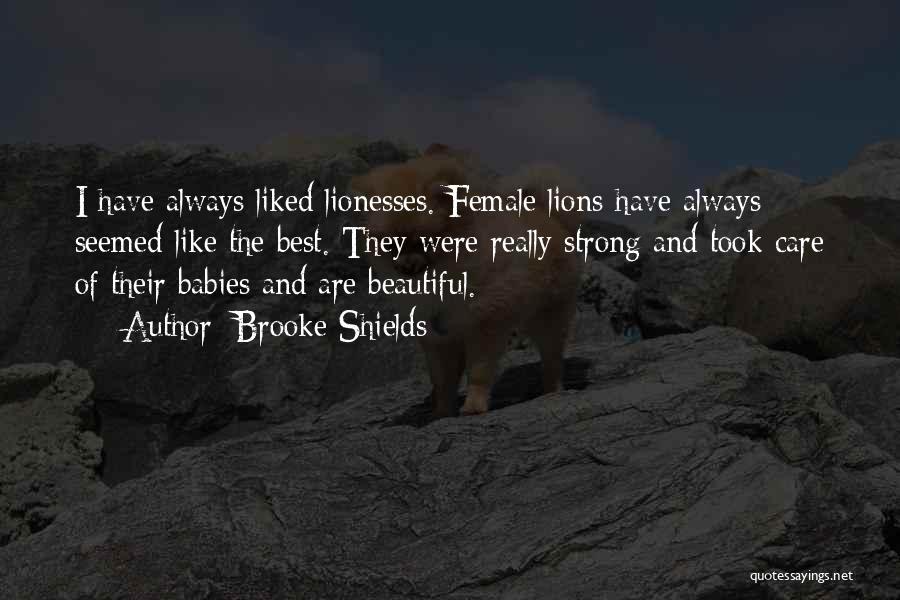 Brooke Shields Quotes: I Have Always Liked Lionesses. Female Lions Have Always Seemed Like The Best. They Were Really Strong And Took Care