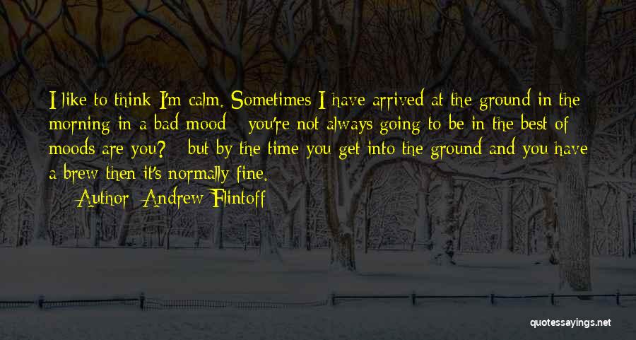 Andrew Flintoff Quotes: I Like To Think I'm Calm. Sometimes I Have Arrived At The Ground In The Morning In A Bad Mood