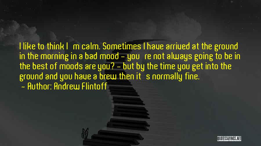 Andrew Flintoff Quotes: I Like To Think I'm Calm. Sometimes I Have Arrived At The Ground In The Morning In A Bad Mood