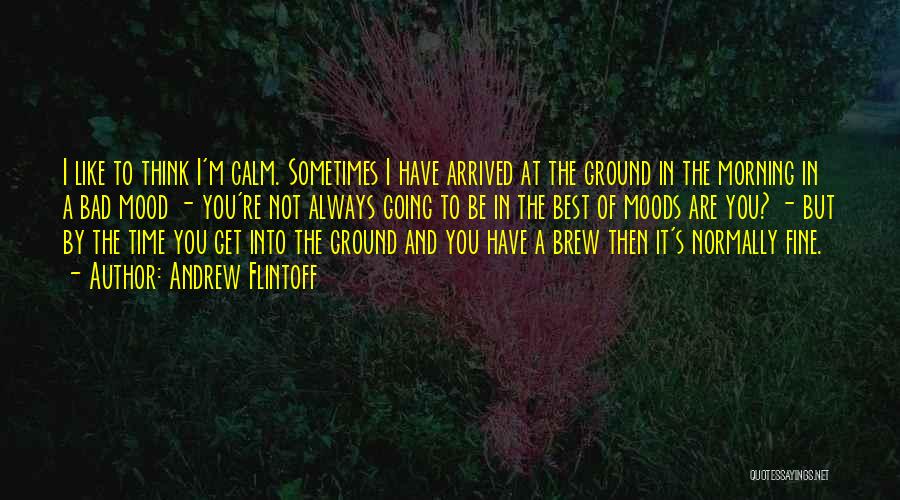 Andrew Flintoff Quotes: I Like To Think I'm Calm. Sometimes I Have Arrived At The Ground In The Morning In A Bad Mood