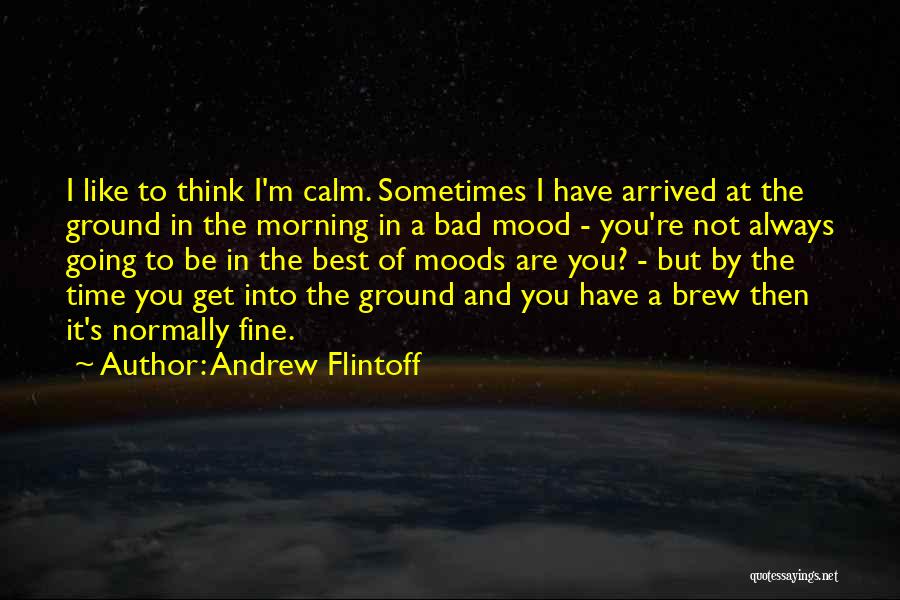 Andrew Flintoff Quotes: I Like To Think I'm Calm. Sometimes I Have Arrived At The Ground In The Morning In A Bad Mood