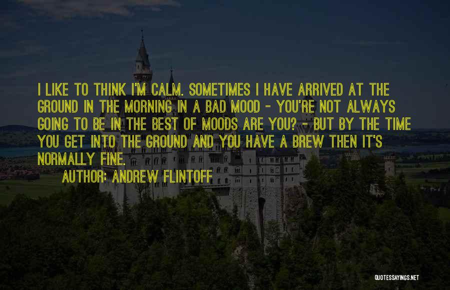 Andrew Flintoff Quotes: I Like To Think I'm Calm. Sometimes I Have Arrived At The Ground In The Morning In A Bad Mood