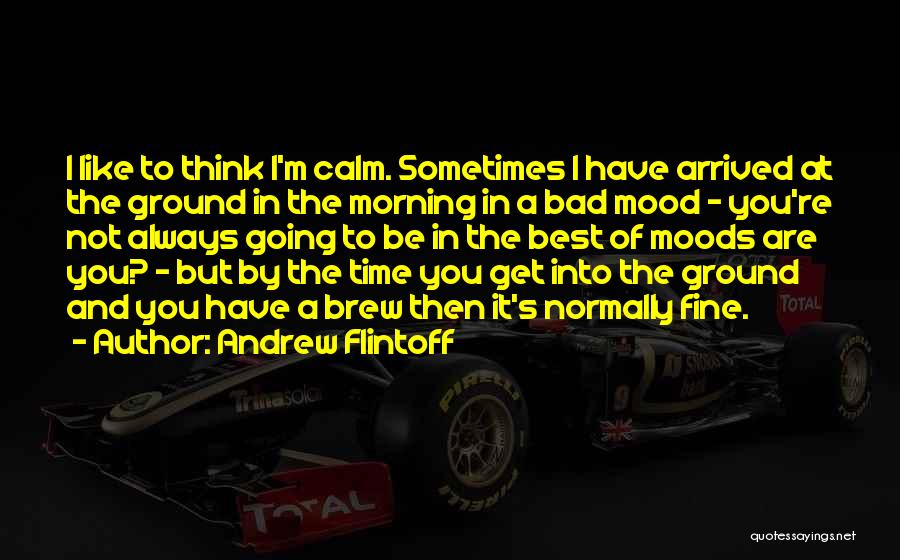 Andrew Flintoff Quotes: I Like To Think I'm Calm. Sometimes I Have Arrived At The Ground In The Morning In A Bad Mood