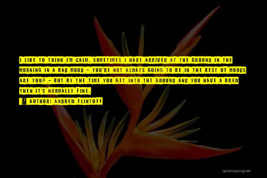 Andrew Flintoff Quotes: I Like To Think I'm Calm. Sometimes I Have Arrived At The Ground In The Morning In A Bad Mood