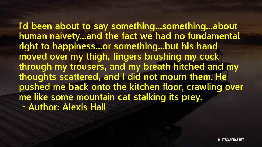 Alexis Hall Quotes: I'd Been About To Say Something...something...about Human Naivety...and The Fact We Had No Fundamental Right To Happiness...or Something...but His Hand