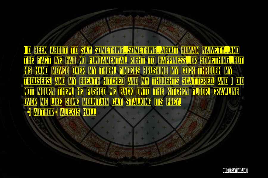 Alexis Hall Quotes: I'd Been About To Say Something...something...about Human Naivety...and The Fact We Had No Fundamental Right To Happiness...or Something...but His Hand