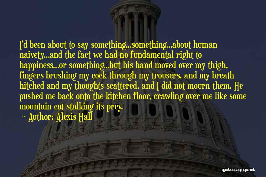 Alexis Hall Quotes: I'd Been About To Say Something...something...about Human Naivety...and The Fact We Had No Fundamental Right To Happiness...or Something...but His Hand